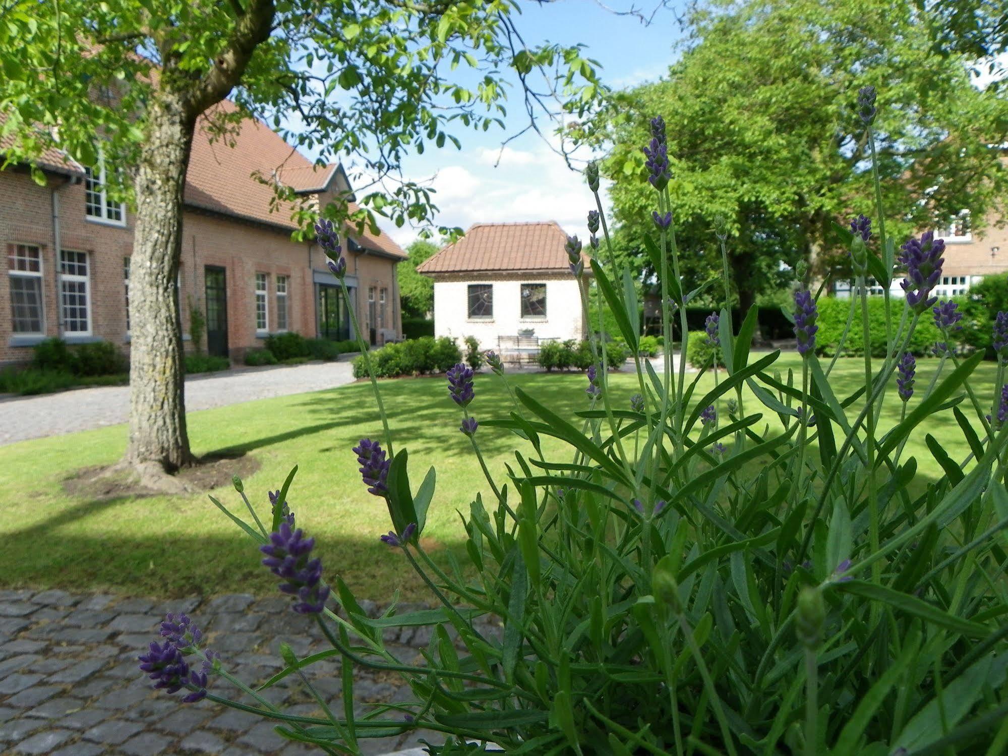 Hotel B - Boskapelhoeve Buggenhout Exterior foto